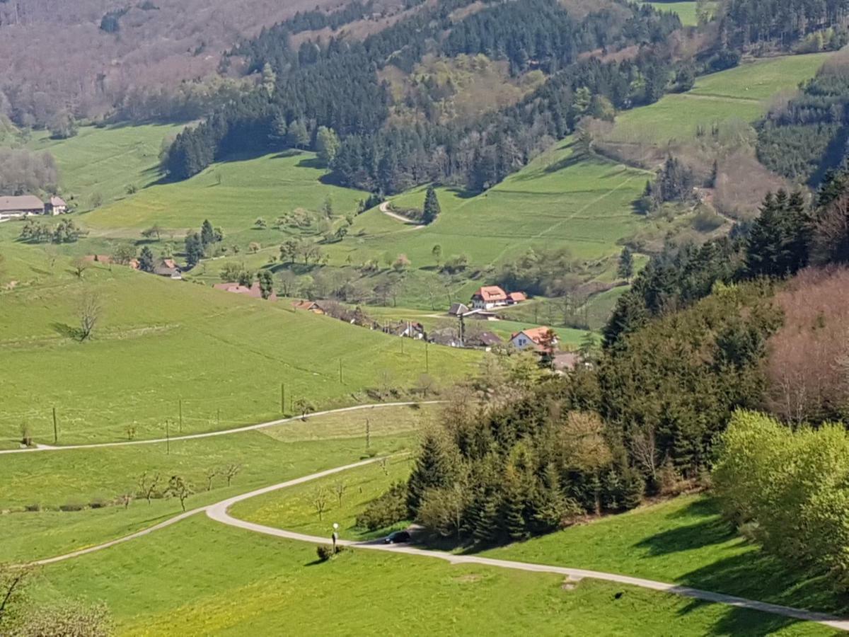 Ferienwohnung Am Siegelbaechle Mit E-Bikes Vermietung Gutach im Breisgau Екстериор снимка